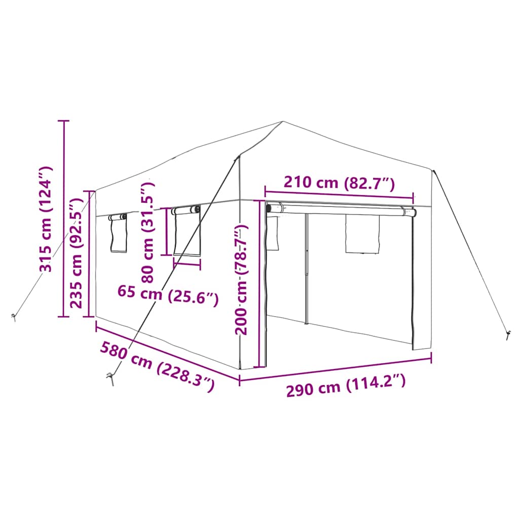 Staklenik s sklopivim okvirom Zelena 290 x 580 x 315 cm Željezo