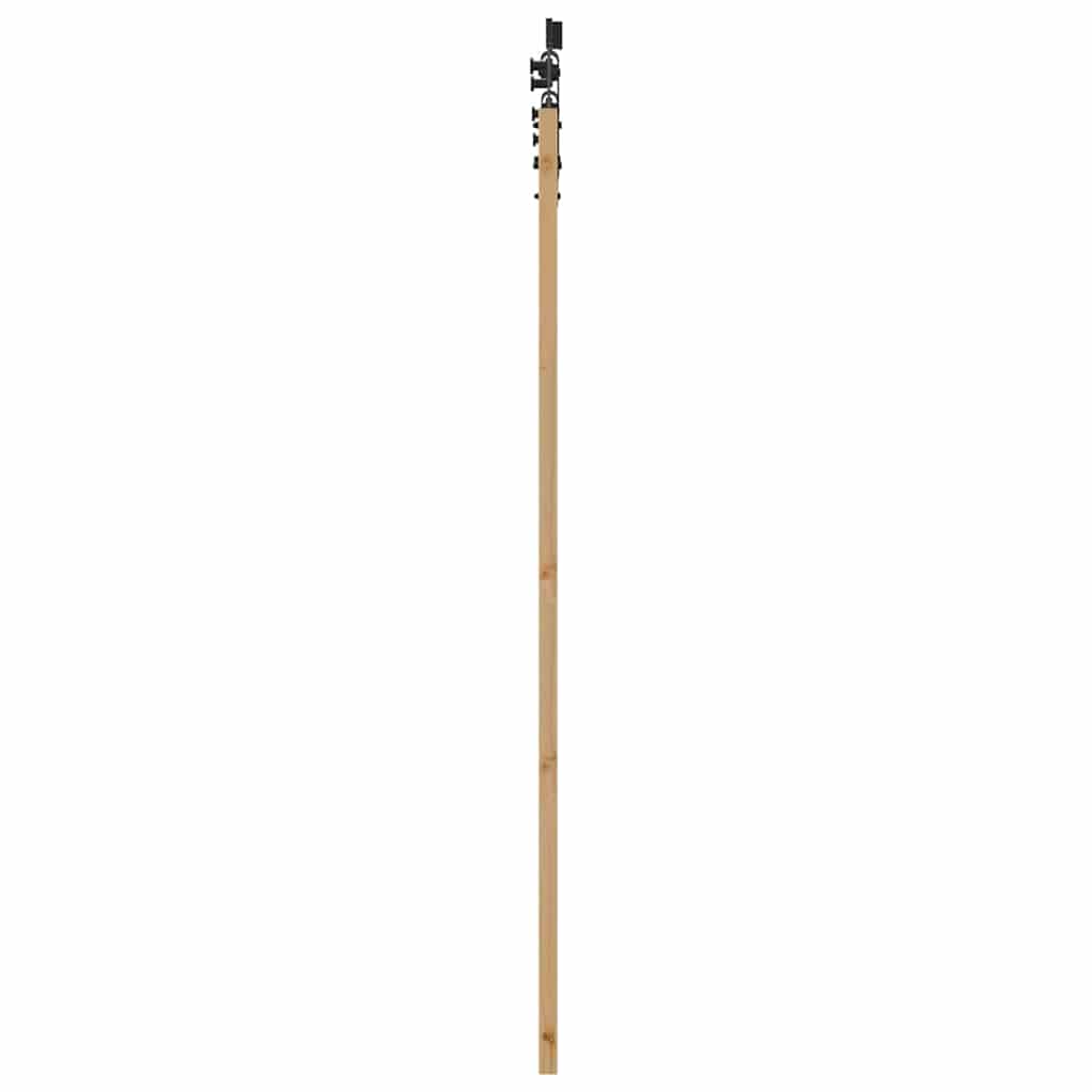 Klizna vrata Prirodna 61 x 198,5 cm Masivna borovina i staklo