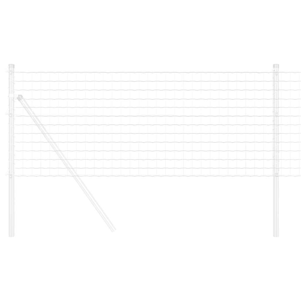 Euro ograda 0,6 x 10 m Željezo prekriveno PVC-om