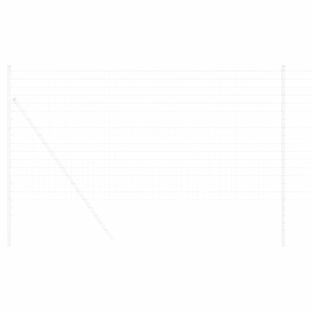 Euro ograda 1 x 10 m Željezo prekriveno PVC-om