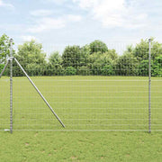 Euro ograda 1,6 x 10 m Željezo prekriveno PVC-om