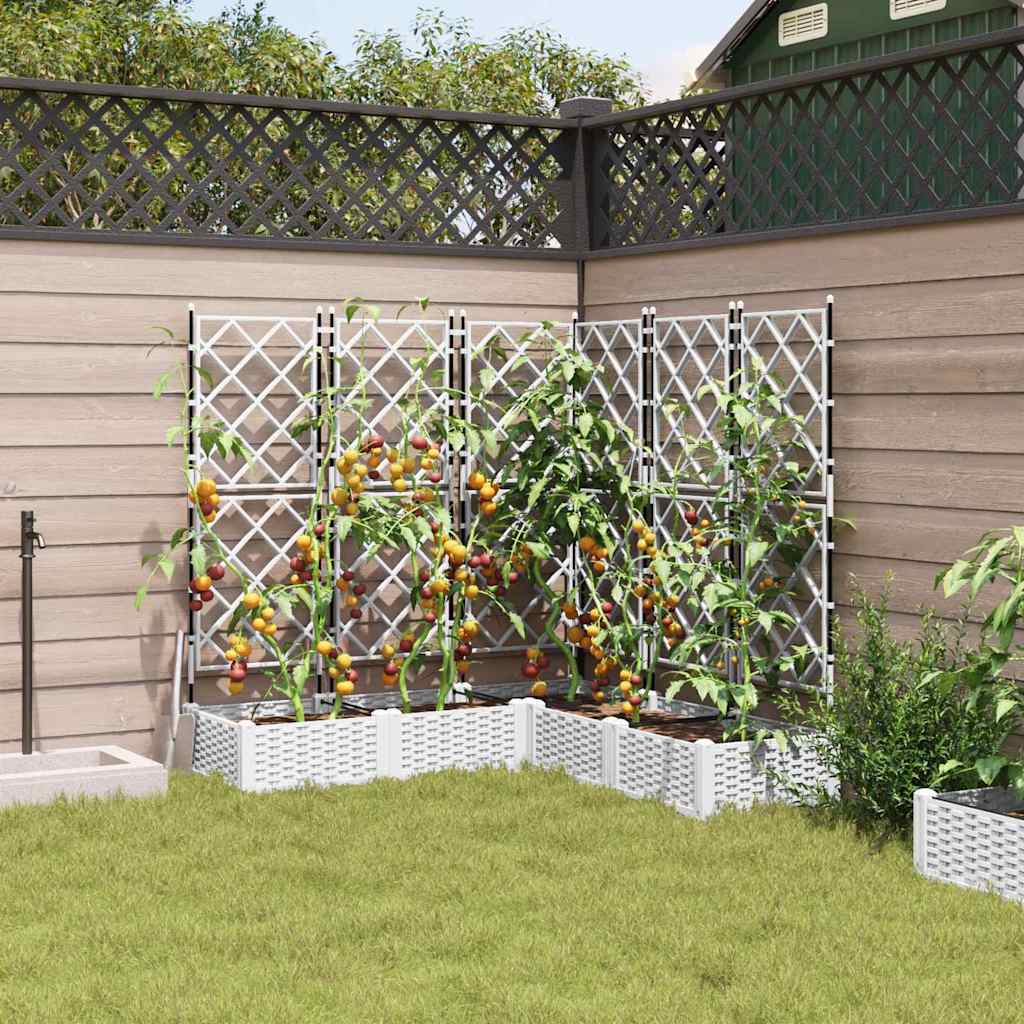 Vrtna saksija 5 pcs Bijeli 120 x 120 x 125,5 cm Plastika