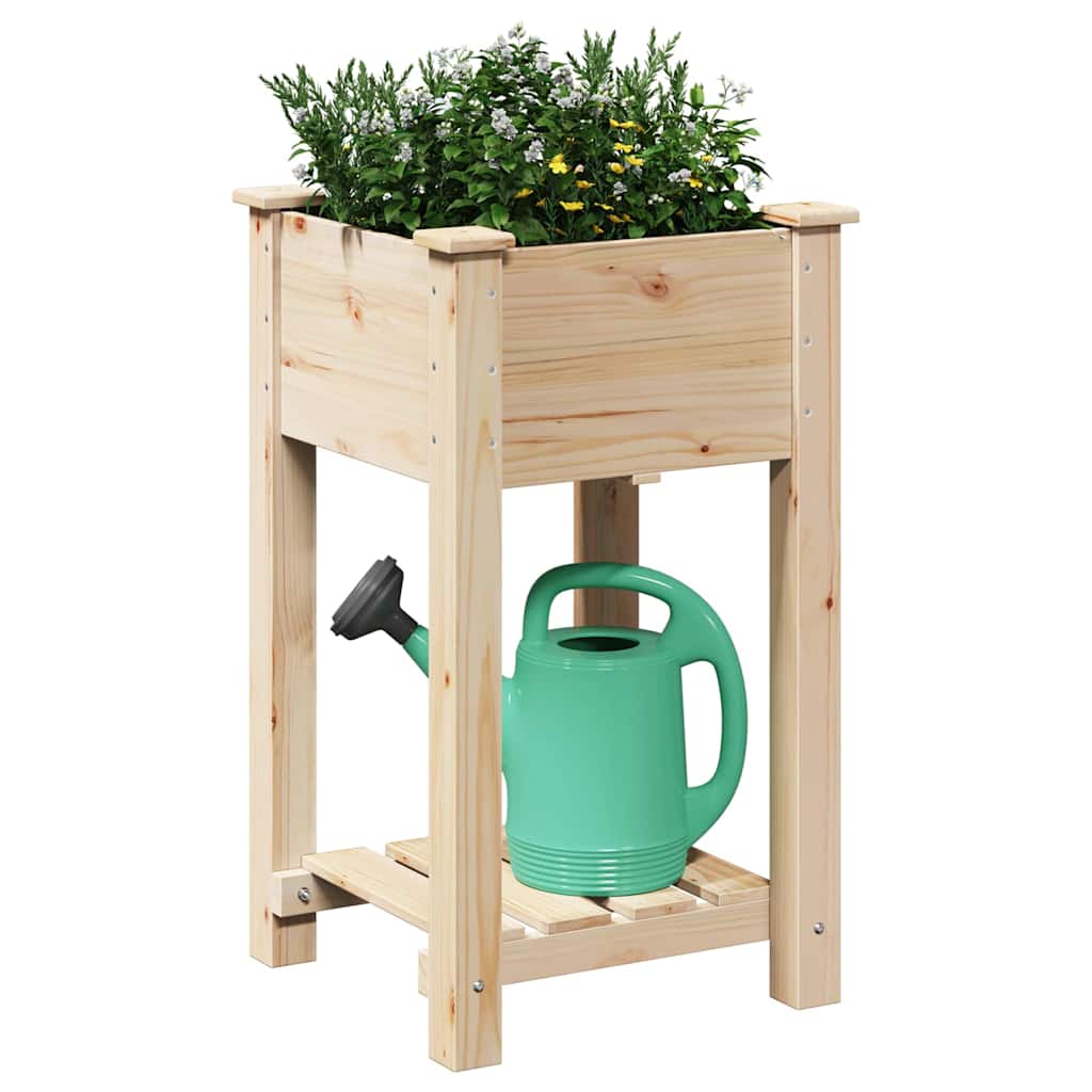 Vrtna saksija s policom Bež 45 x 45 x 76,5 cm Čvrsto drvo jele