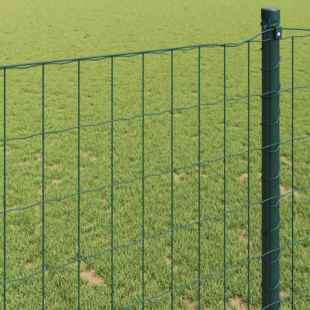 Euro ograda 0,6 x 50 m Željezo prekriveno PVC-om Zelena