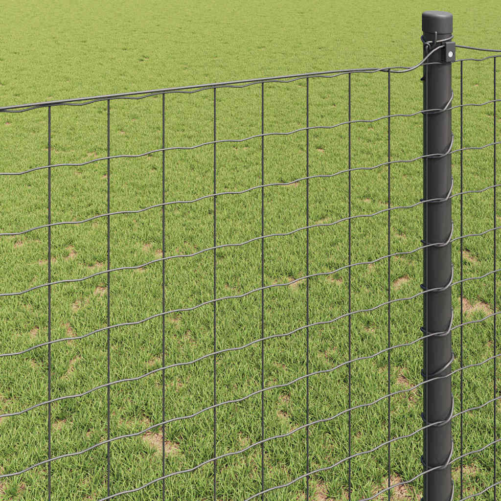 Euro ograda Siva 1,2 x 10 m Željezo prekriveno PVC-om