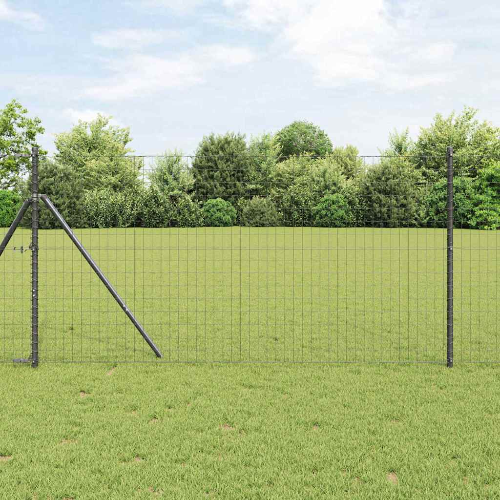 Euro ograda Siva 1 x 10 m Željezo prekriveno PVC-om