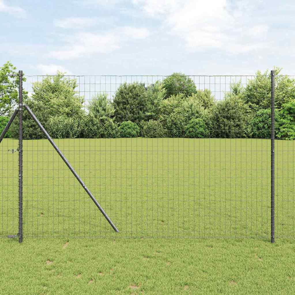 Euro ograda Siva 1,6 x 10 m Željezo prekriveno PVC-om