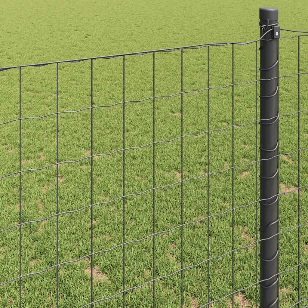 Euro ograda Siva 0.6 x 25 m Željezo prekriveno PVC-om