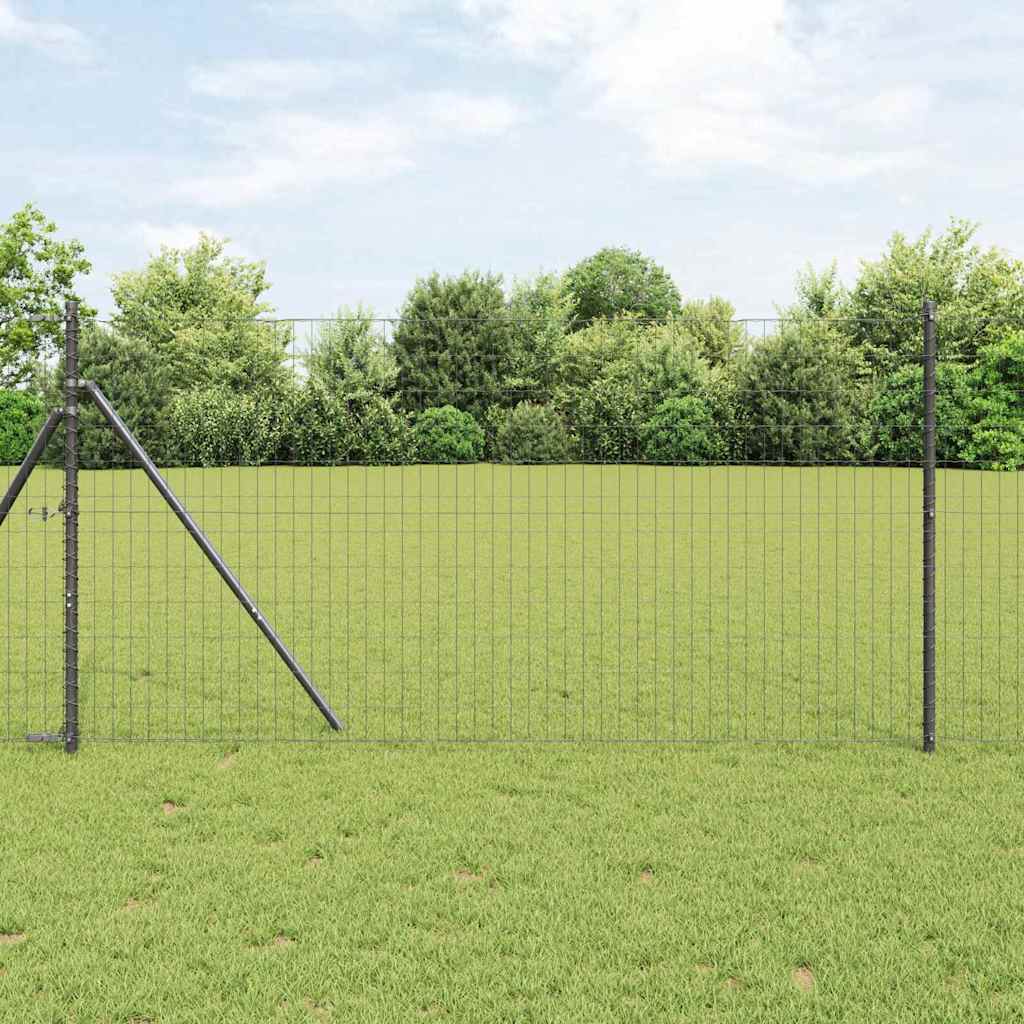 Euro ograda 1 x 25 m Željezo prekriveno PVC-om Siva