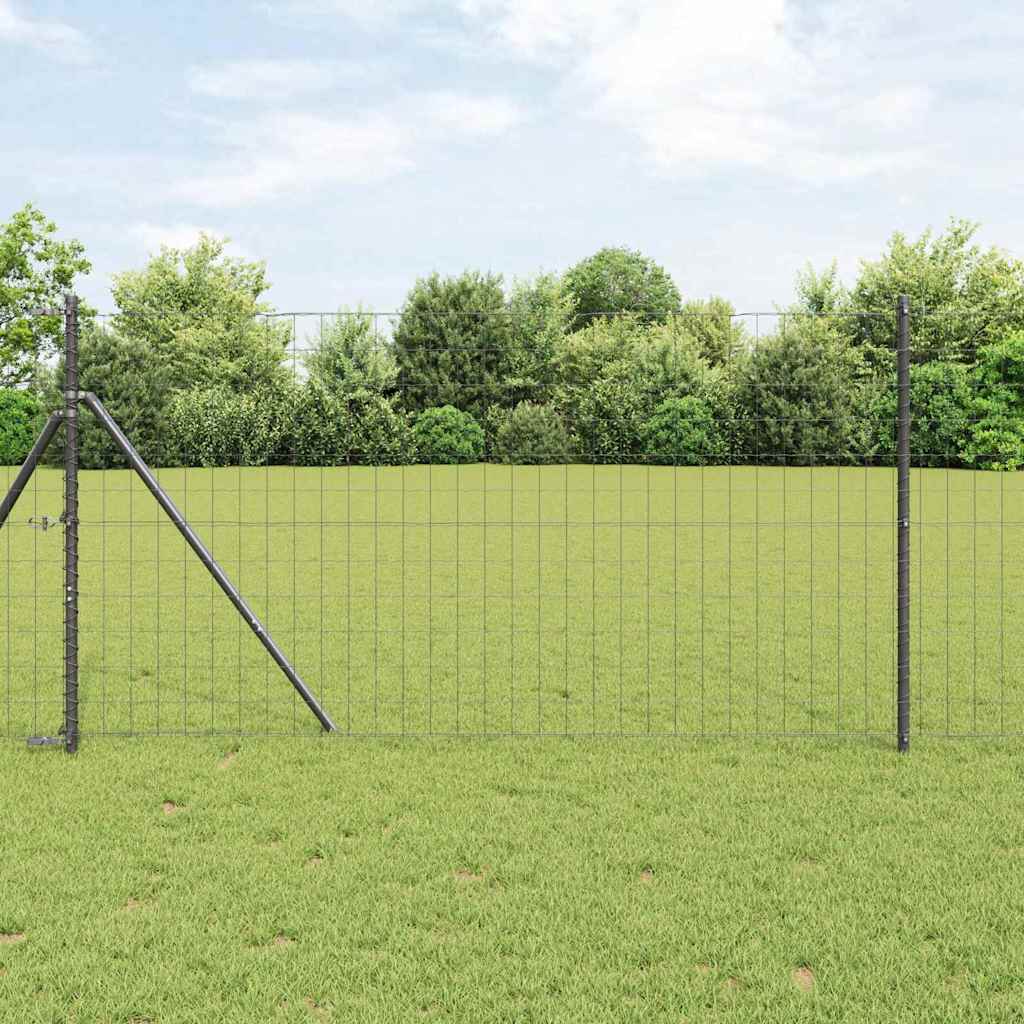 Euro ograda 1 x 25 m Željezo prekriveno PVC-om Siva