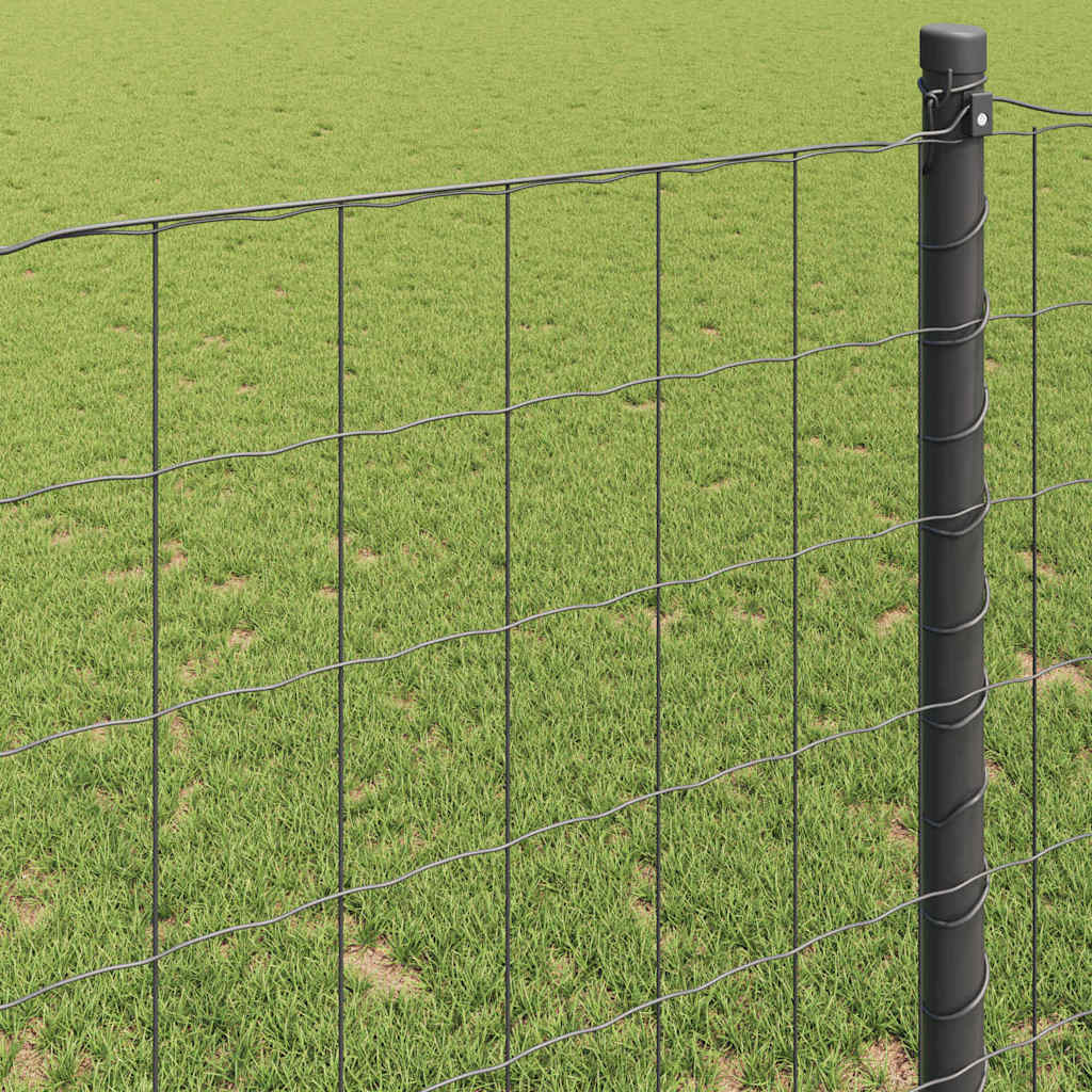Euro ograda Siva 0,4 x 50 m Željezo prekriveno PVC-om