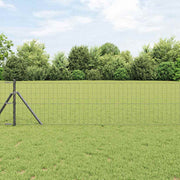 Euro ograda Siva 0.4 x 10 m Željezo prekriveno PVC-om