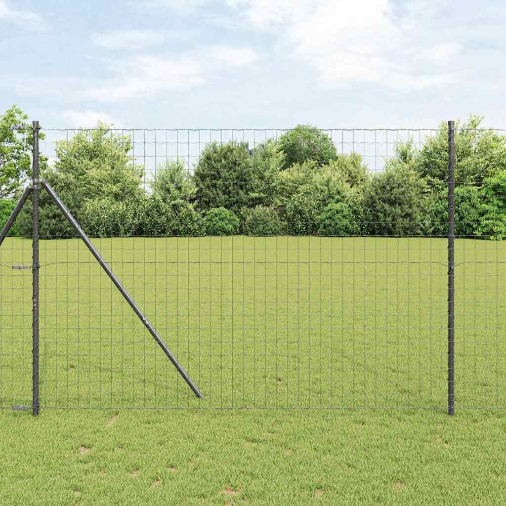 Euro ograda Crna 1,6 x 10 m Željezo prekriveno PVC-om