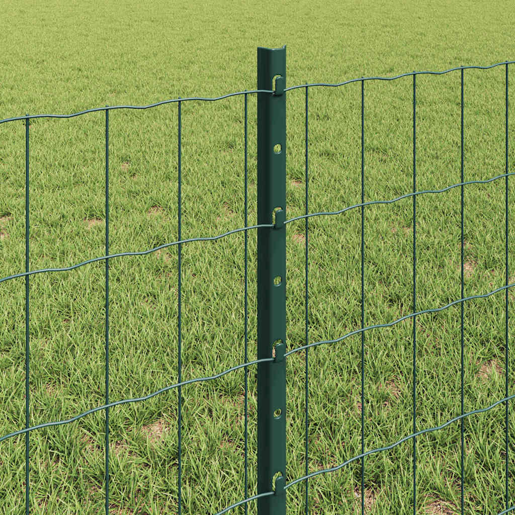Euro ograda s postom 10 x 0,6 m Čelik premazan PVC-om Zelena