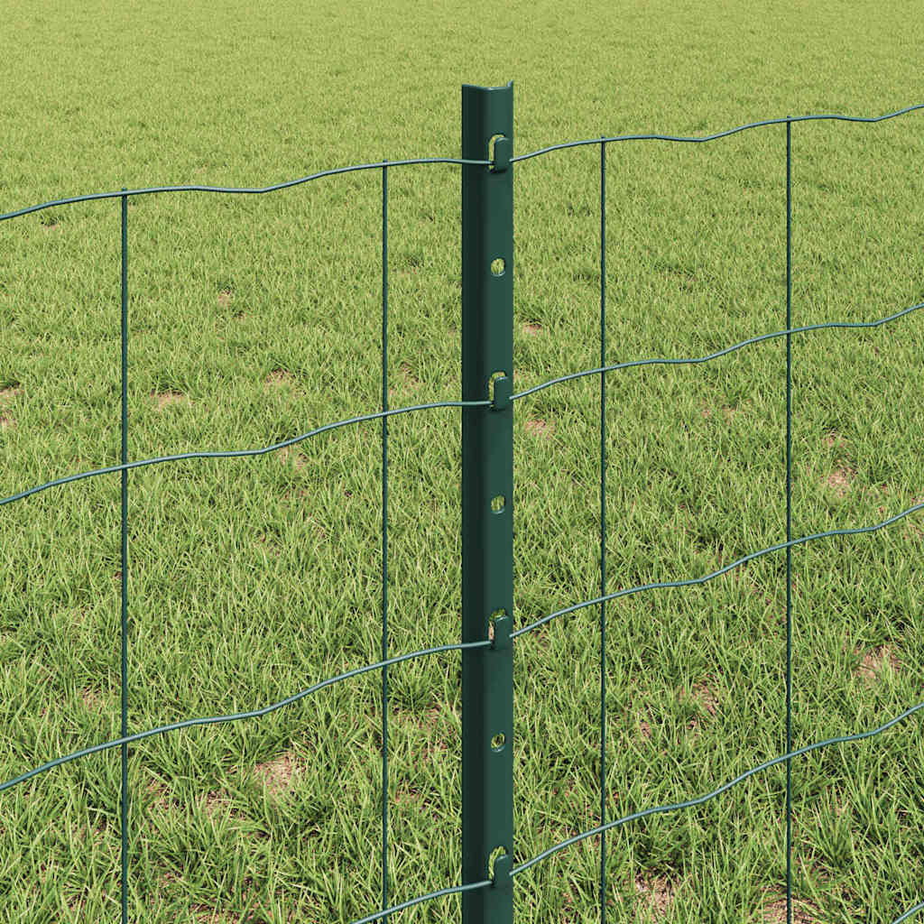 Euro ograda s postom 25 x 0,6 m Čelik premazan PVC-om Zelena
