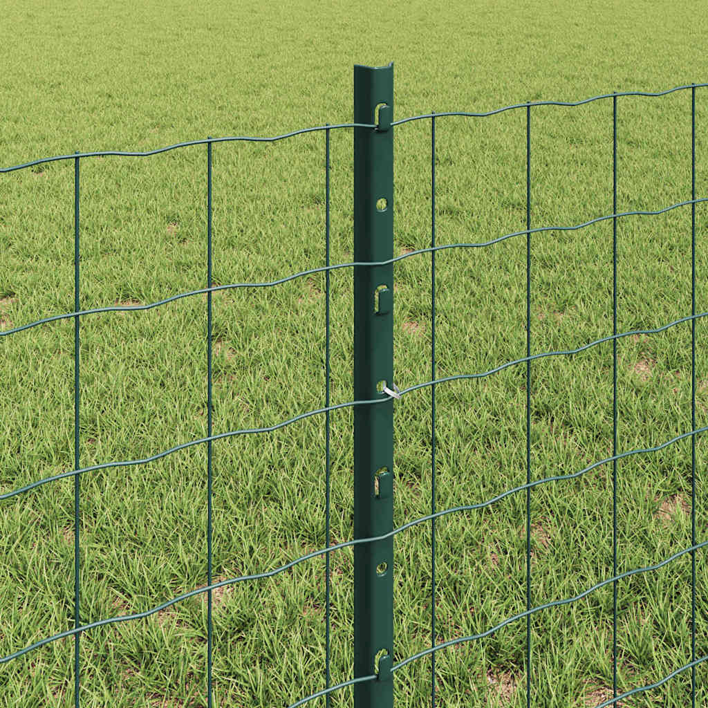 Euro ograda s postom 25 x 0,6 m Čelik premazan PVC-om Zelena