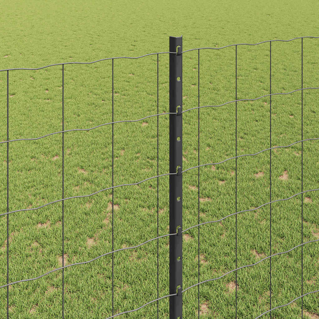 Zavarena žičana ograda 10 x 1,6 m (Š x V) Čelik premazan PVC-om