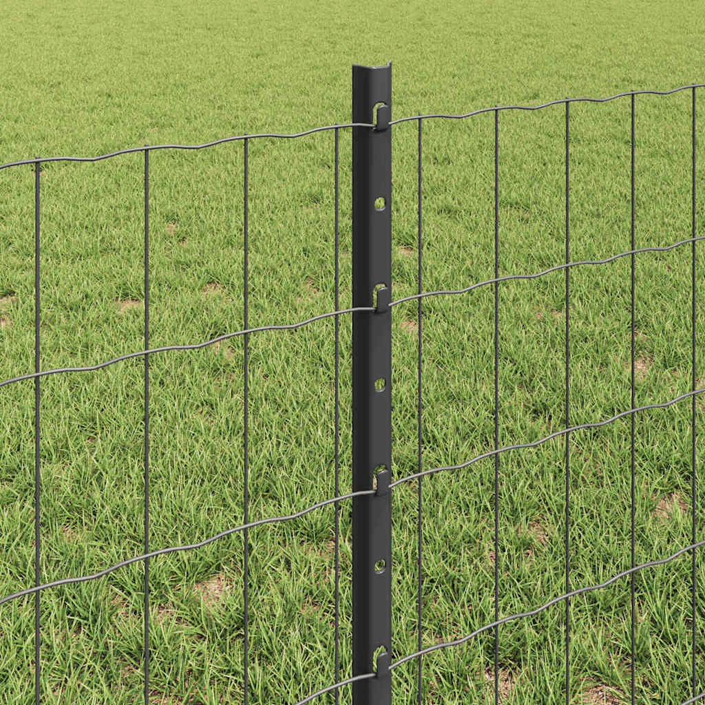 Zavarena žičana ograda 25 x 0,6 m (Š x V) Čelik premazan PVC-om