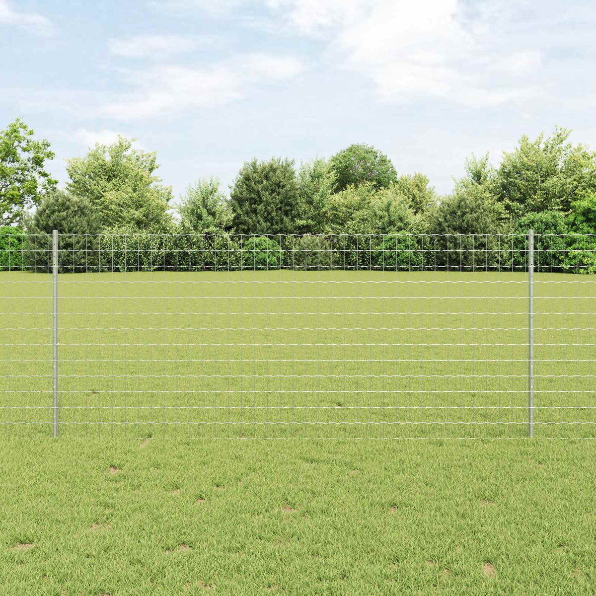 Euro ograda s postom 10 x 1 m Pocinčani čelik Srebrna Mreža
