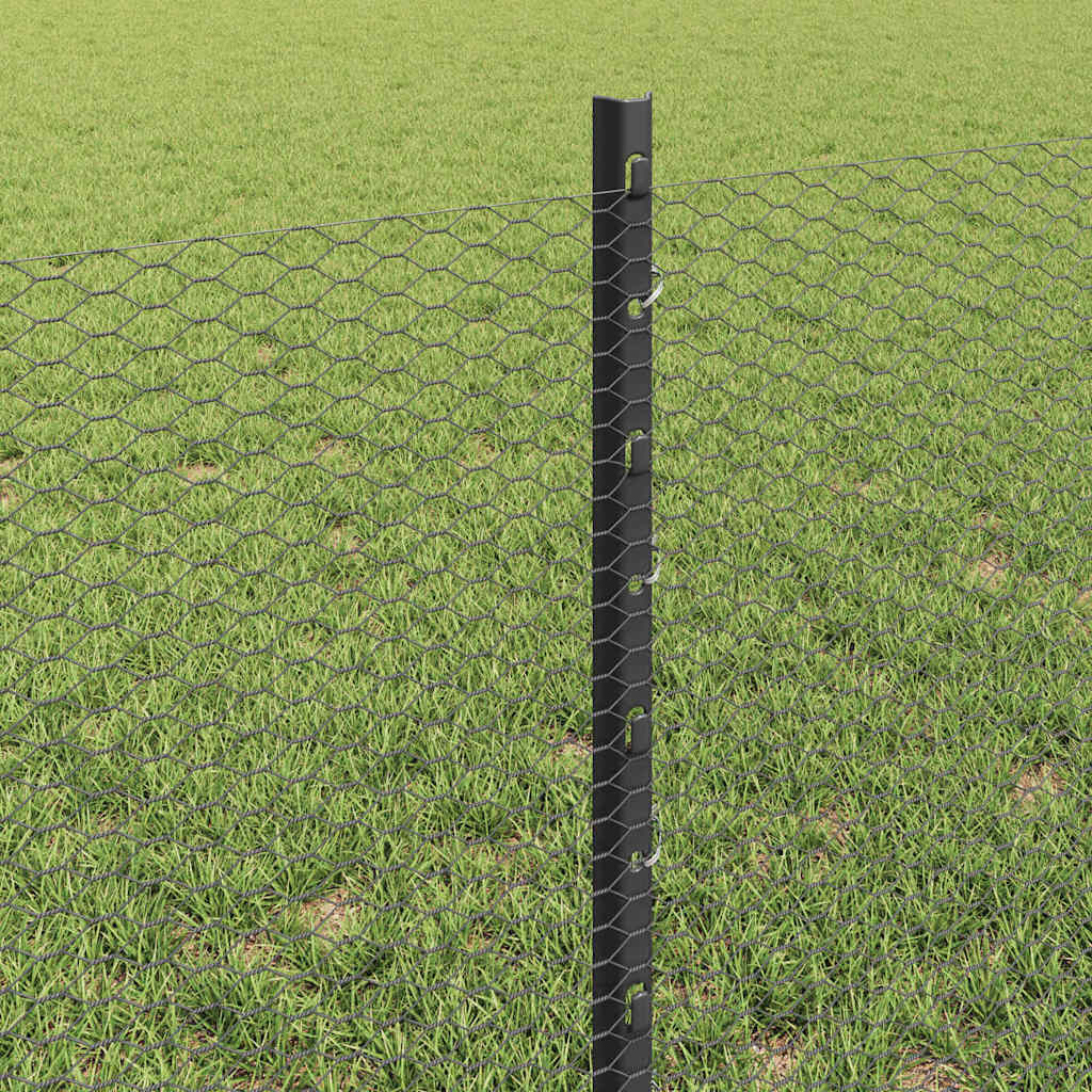 Zavarena žičana ograda 10 x 0,6 m (Š x V) Čelik premazan PVC-om