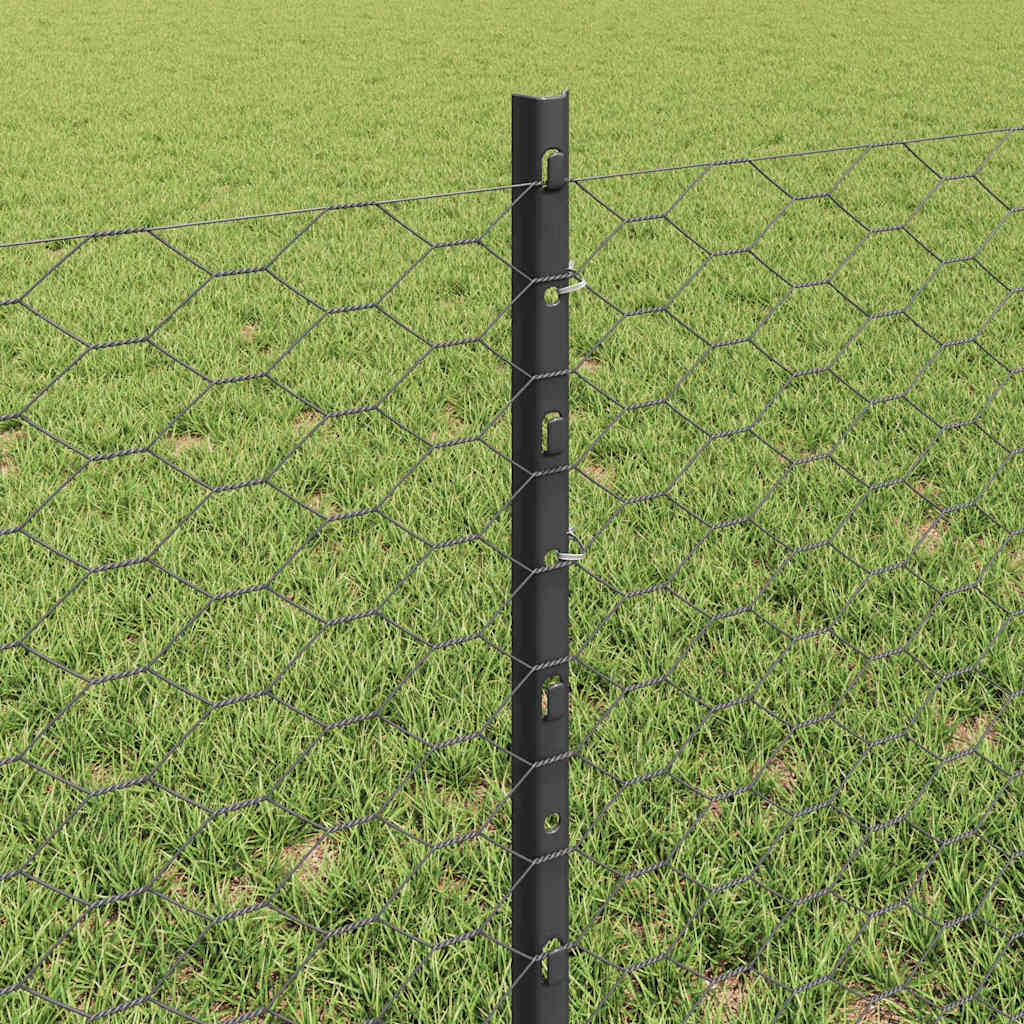 Heksagonalna ograda s stubom 10 x 0,6 m Čelik premazan PVC-om