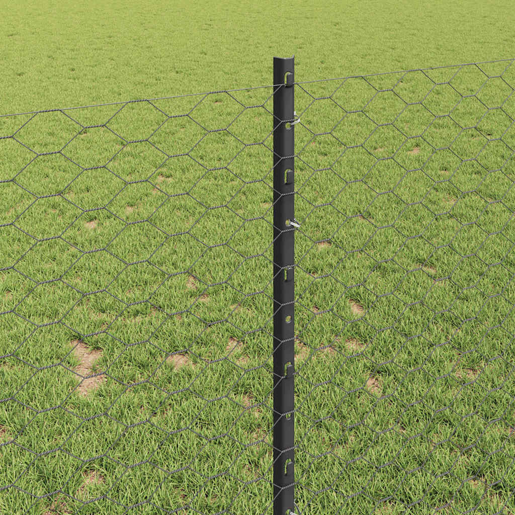 Zavarena žičana ograda 10 x 0,8 m (Š x V) Čelik premazan PVC-om