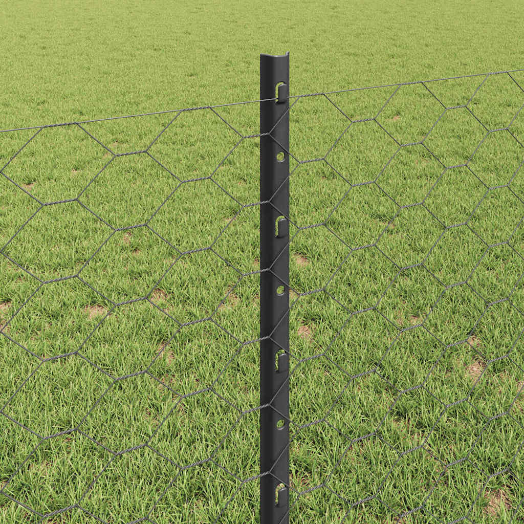 Heksagonalna ograda s stubom 10 x 0,8 m Čelik premazan PVC-om