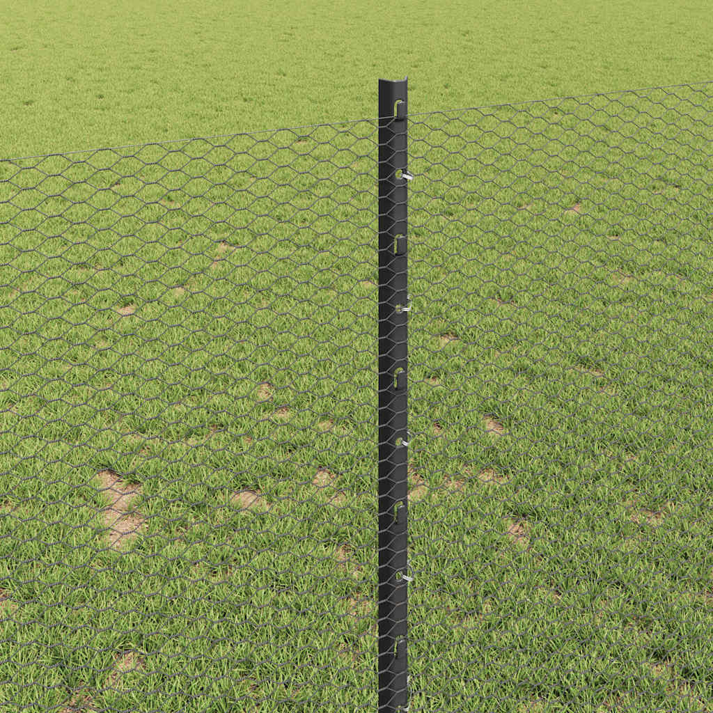 Zavarena žičana ograda 10 x 1 m (Š x V) Čelik premazan PVC-om