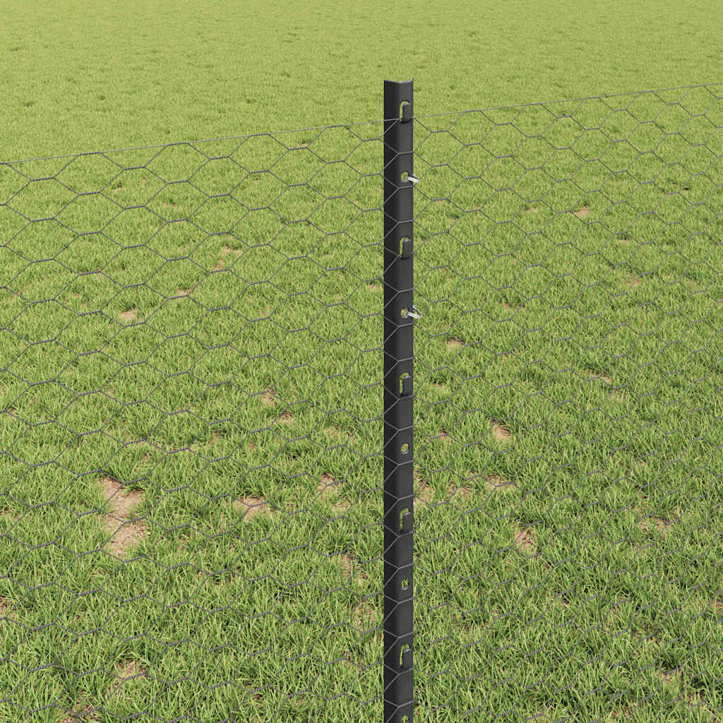 Heksagonalna ograda s stubom 10 x 1 m Čelik premazan PVC-om