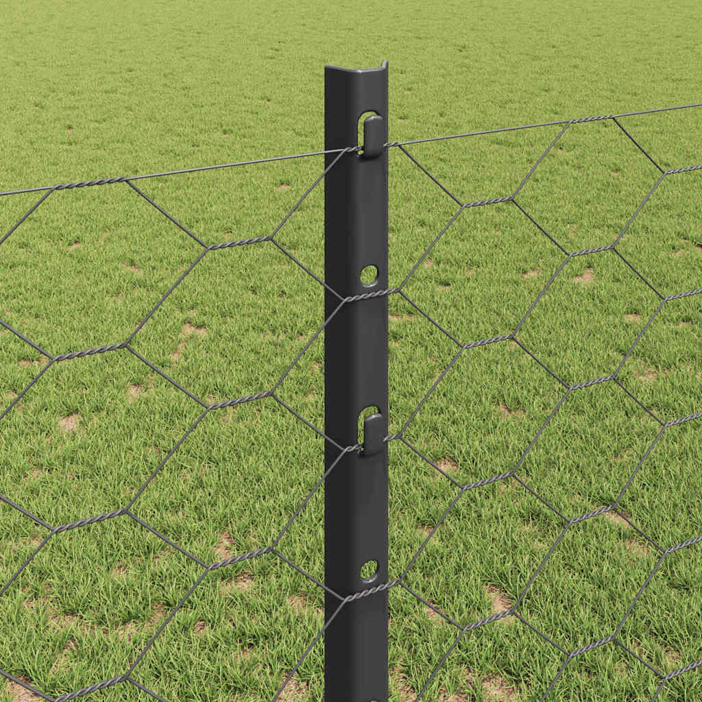 Heksagonalna ograda s stubom 10 x 1,2 m Čelik premazan PVC-om