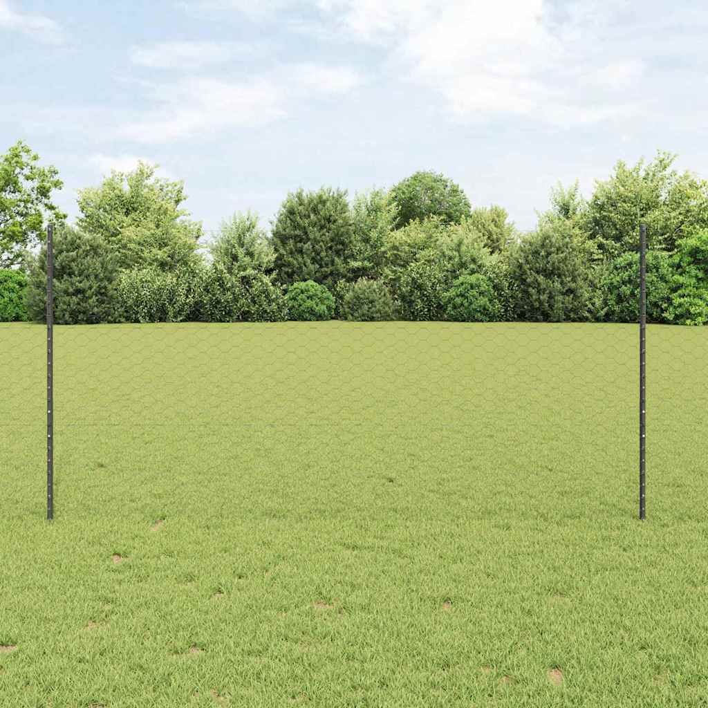 Heksagonalna ograda s stubom 25 x 1,2 m Čelik premazan PVC-om
