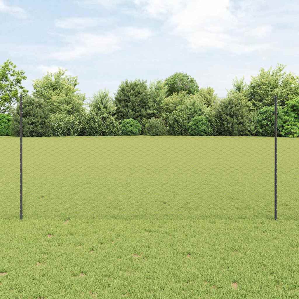 Heksagonalna ograda s stubom 50 x 1,2 m Čelik premazan PVC-om