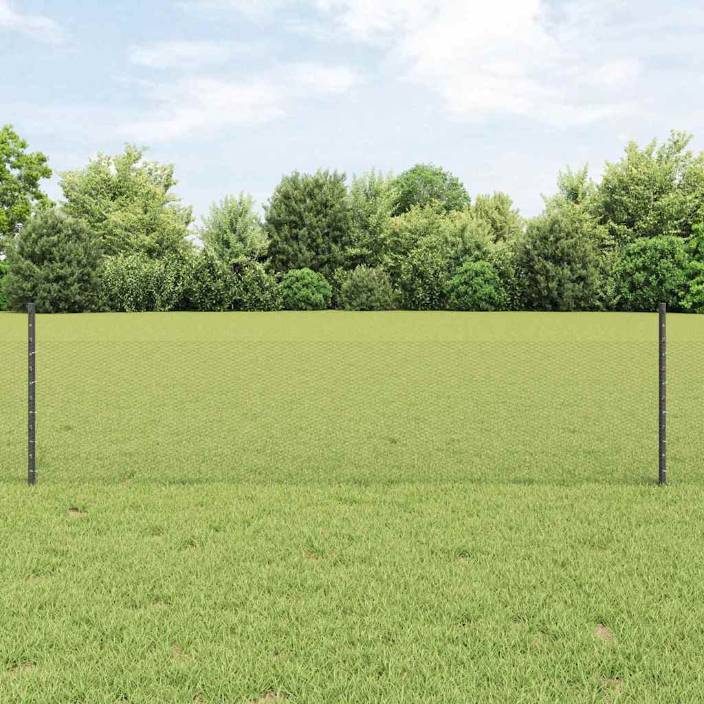 Zavarena žičana ograda 100 x 0,5 m (Š x V)