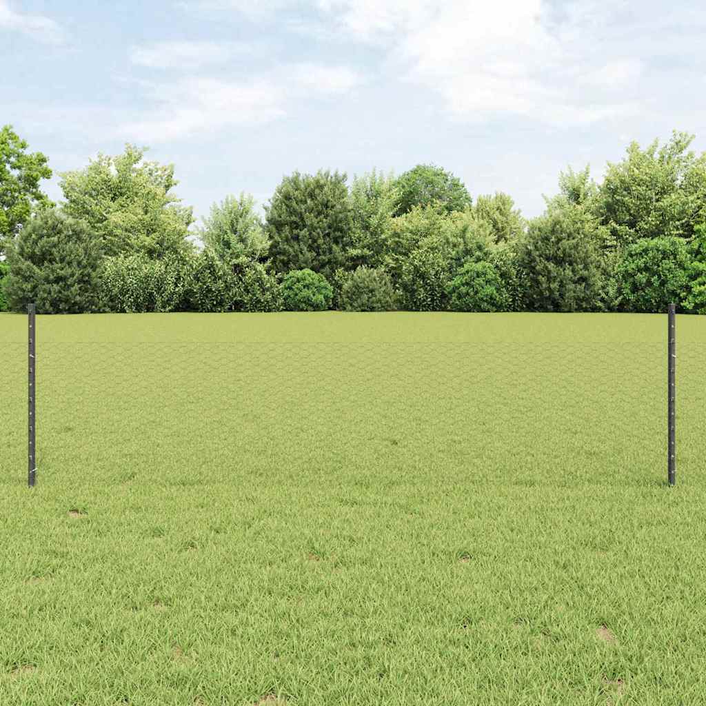 Zavarena žičana ograda 100 x 0,5 m (Š x V)