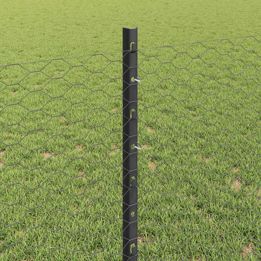 Heksagonalna ograda s stubom 100 x 0,8 m Čelik premazan PVC-om