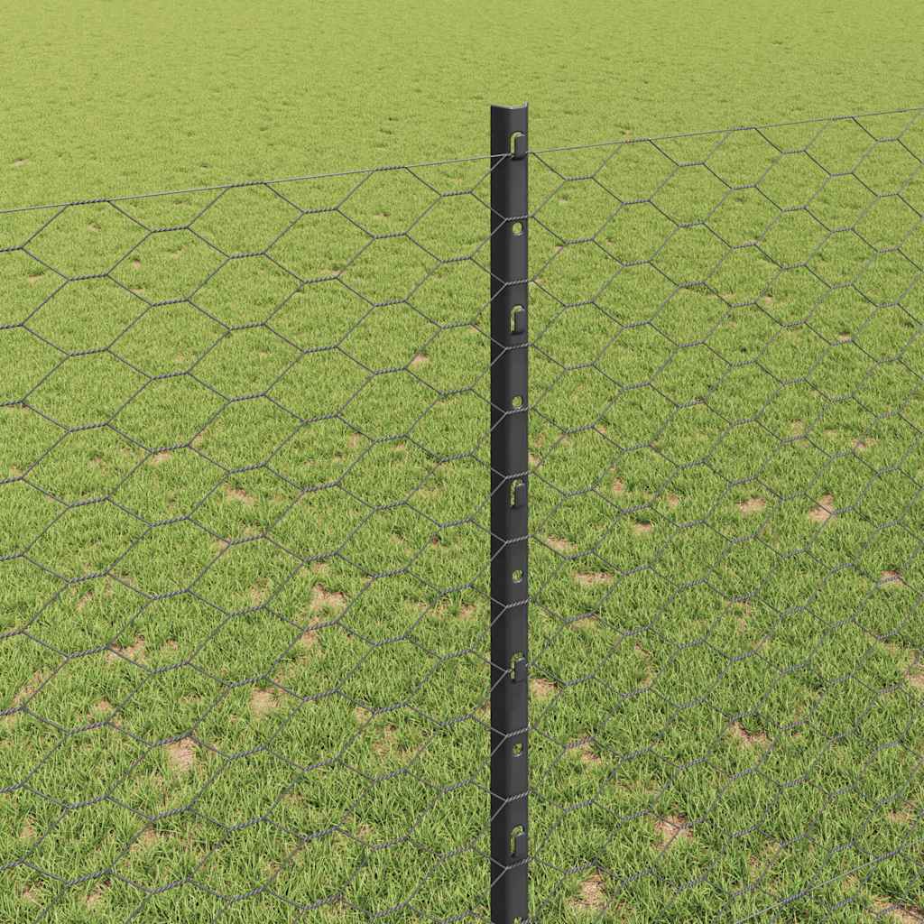 Zavarena žičana ograda 100 x 1,5 m (Š x V)