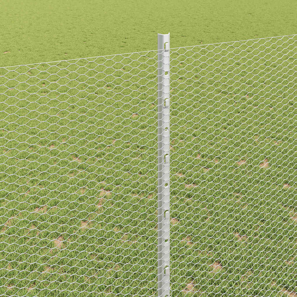 Zavarena žičana ograda 50 x 1,6 m (Š x V) Vruće pocinčani čelik