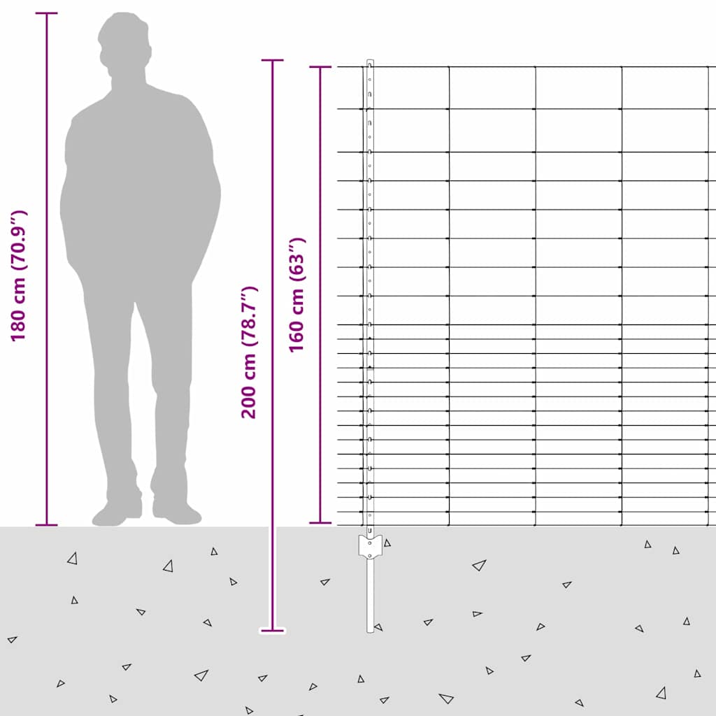 Divlja Ograde s Stupovima 25 x 1,6 m (Š x V)
