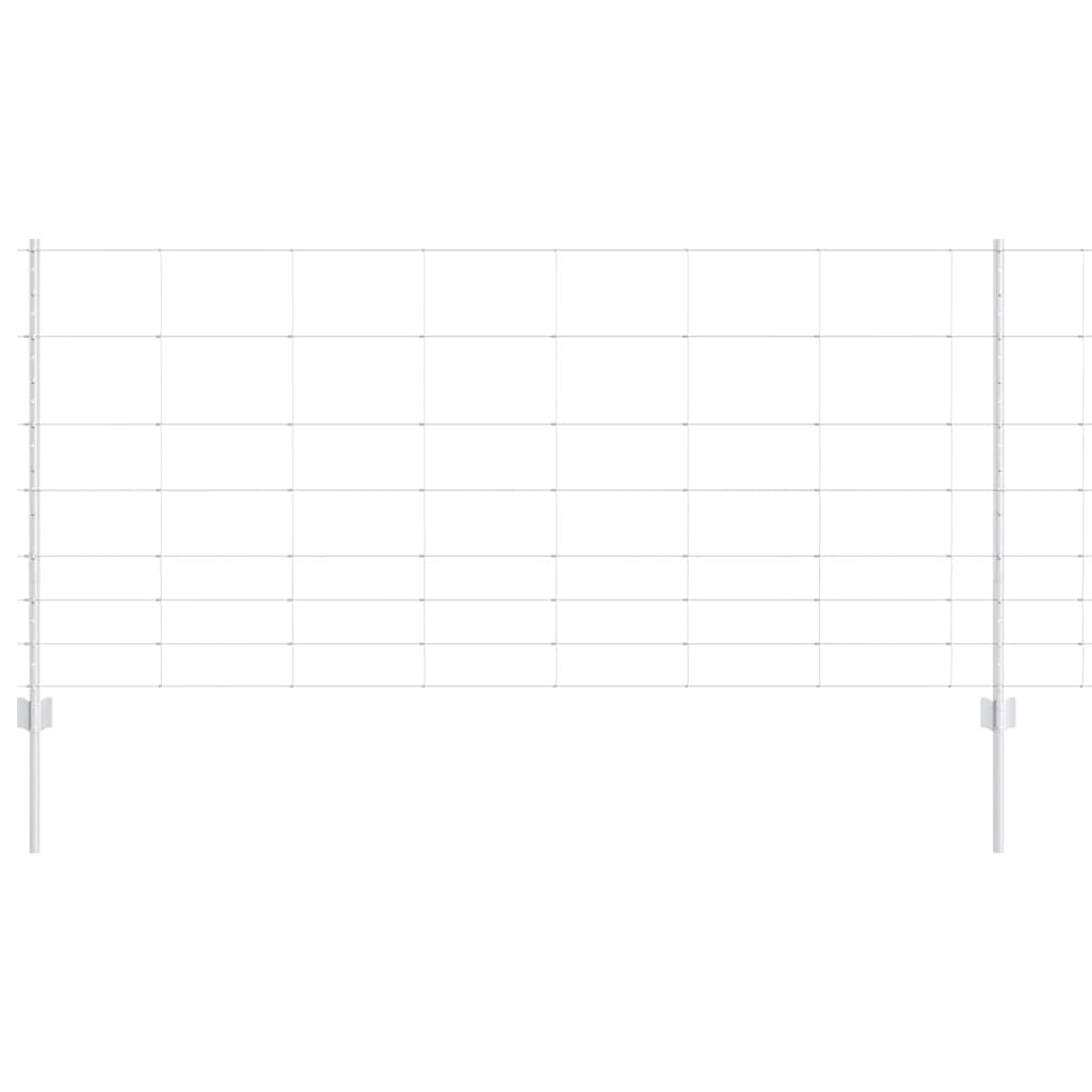 Divlja Ograde s Stupovima 100 x 1 m (Š x V)