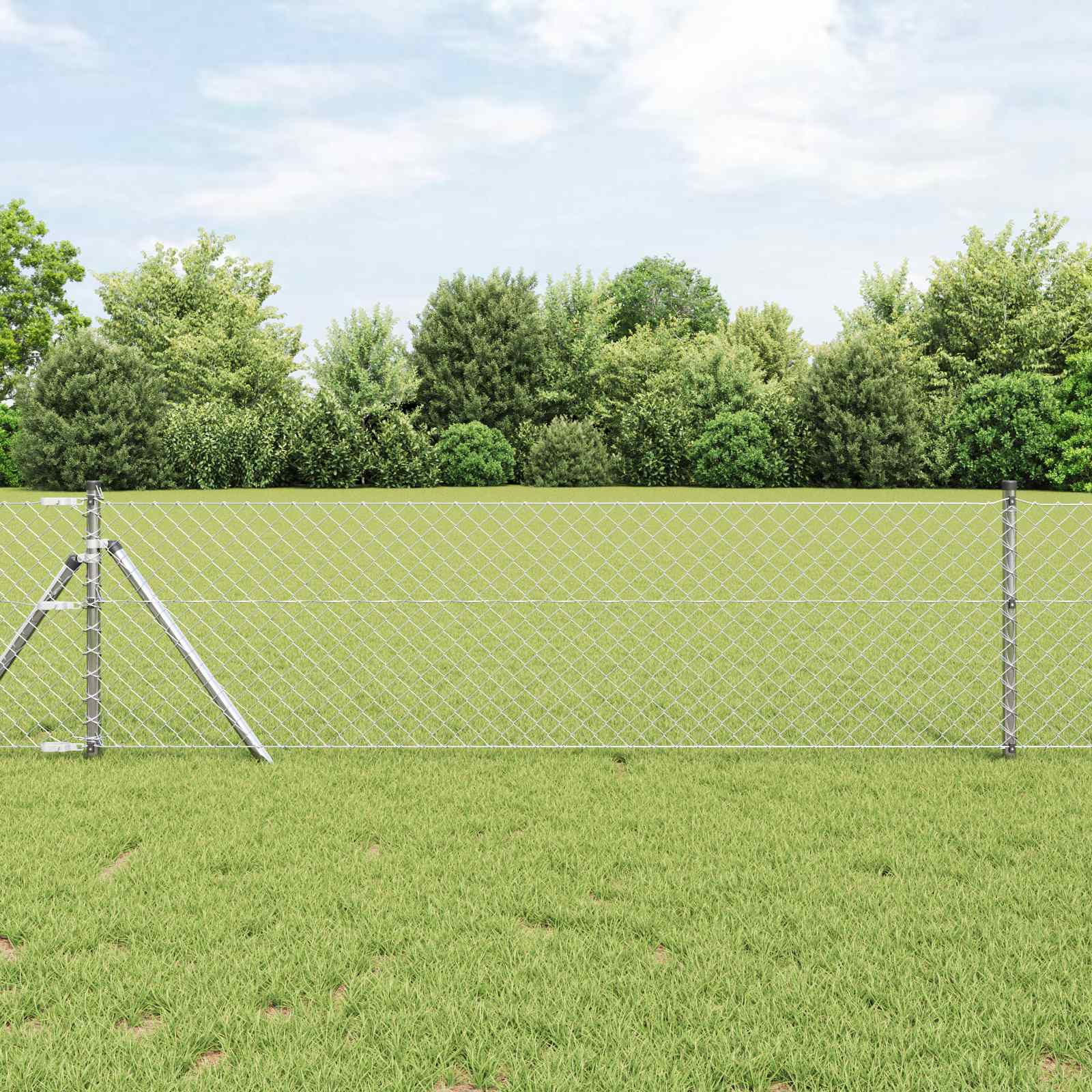 Ograda od lančane veze Srebrno
