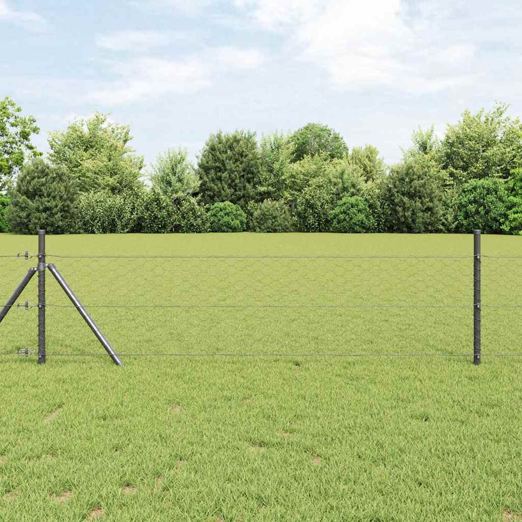 Heksagonalna ograda Siva 1,6 x 25 m PVC
