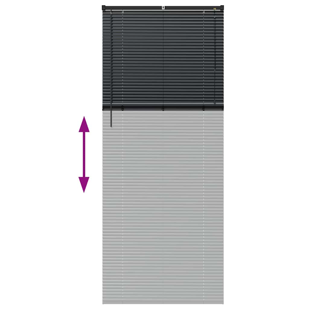 Venecijanski zastore Crna 220 x 95 cm Aluminij