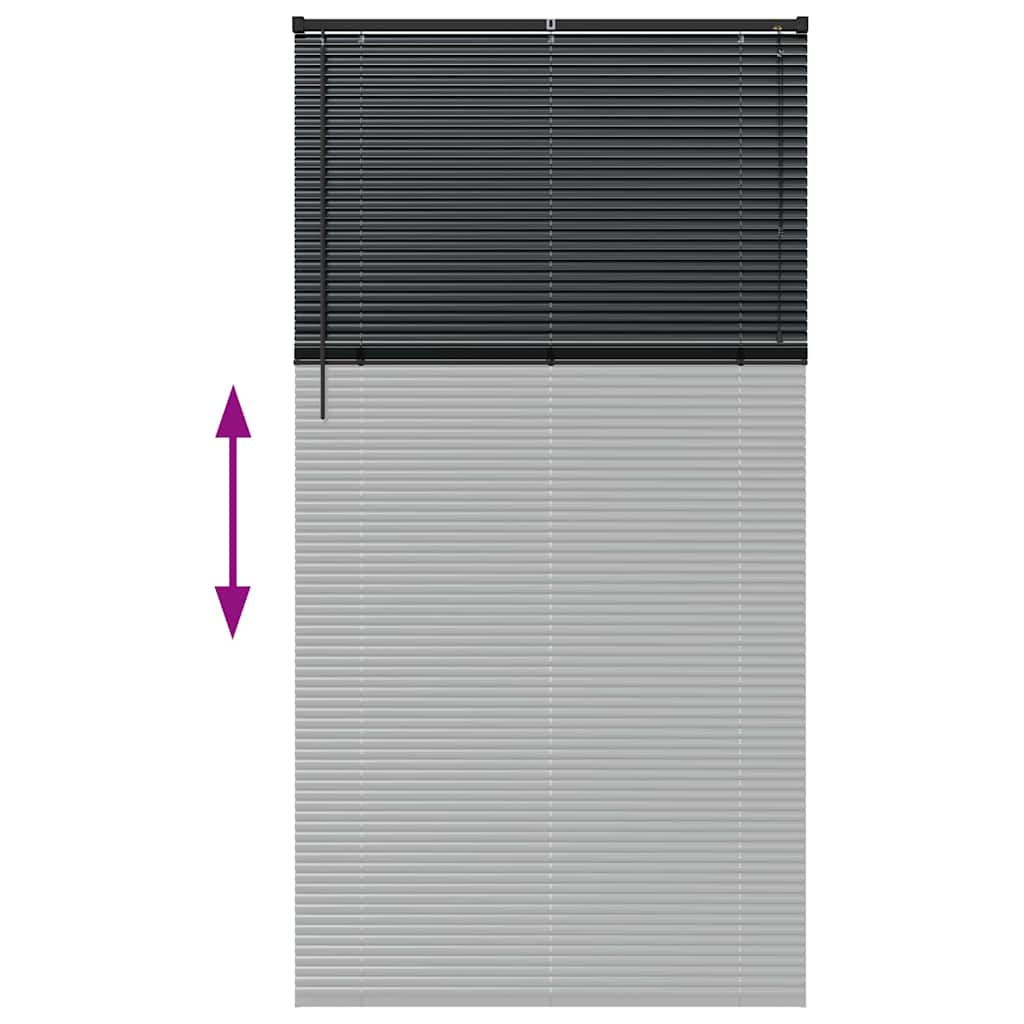 Venecijanski zastore Crna 220 x 110 cm Aluminij