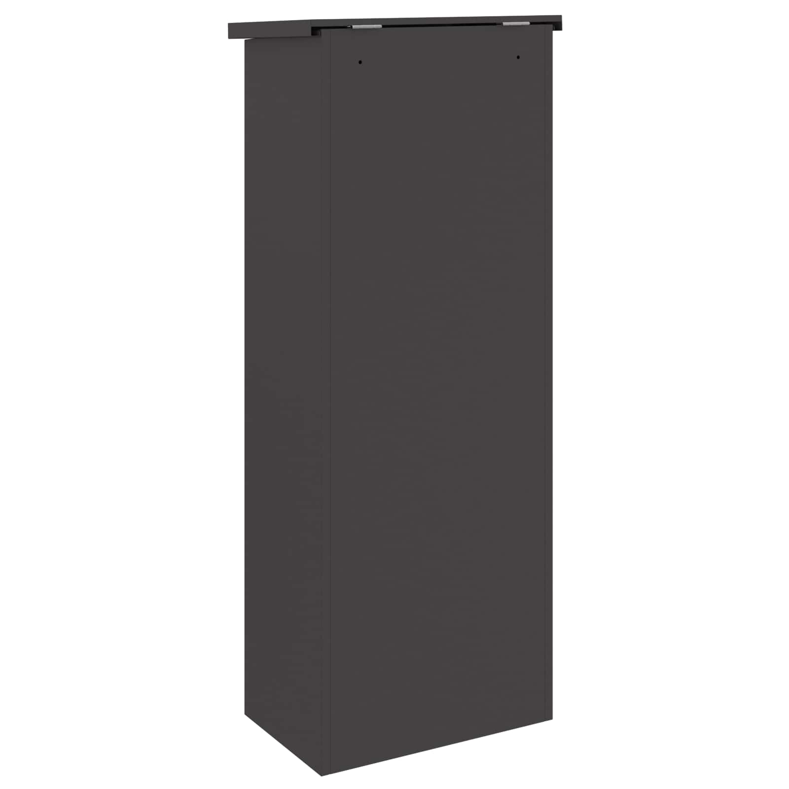 Sandučić za pakete s pohranom Crna 44,5 x 29 x 110,5 cm Čelik