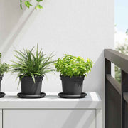 Okrugla saksija za cveće 6 pcs Crna Ø 12,5 x 10 cm Plastika