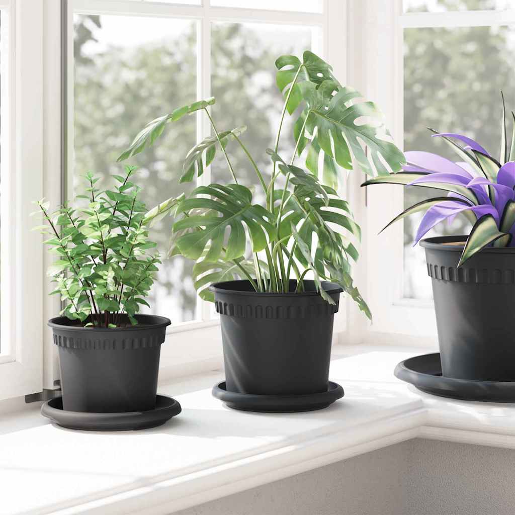 Kružni Pladanj za Cvijeće 6 pcs Crna Ø 14 x 2 cm Plastika