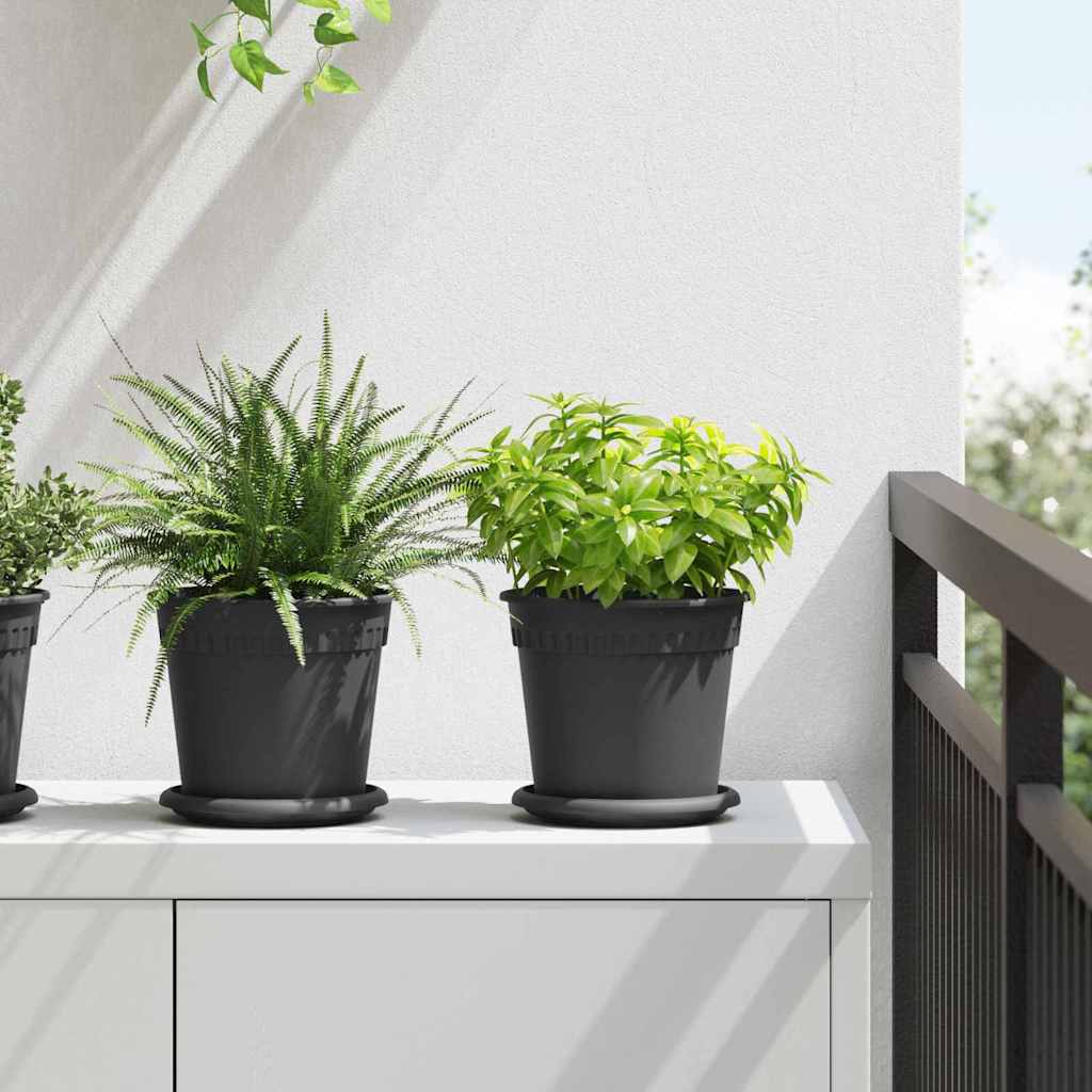 Kružni Pladanj za Cvijeće 6 pcs Crna Ø 15,5 x 2 cm Plastika