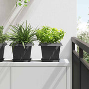 Kvadratna saksija za cvijeće 6 pcs Crna 23 x 23 x 17,5 cm