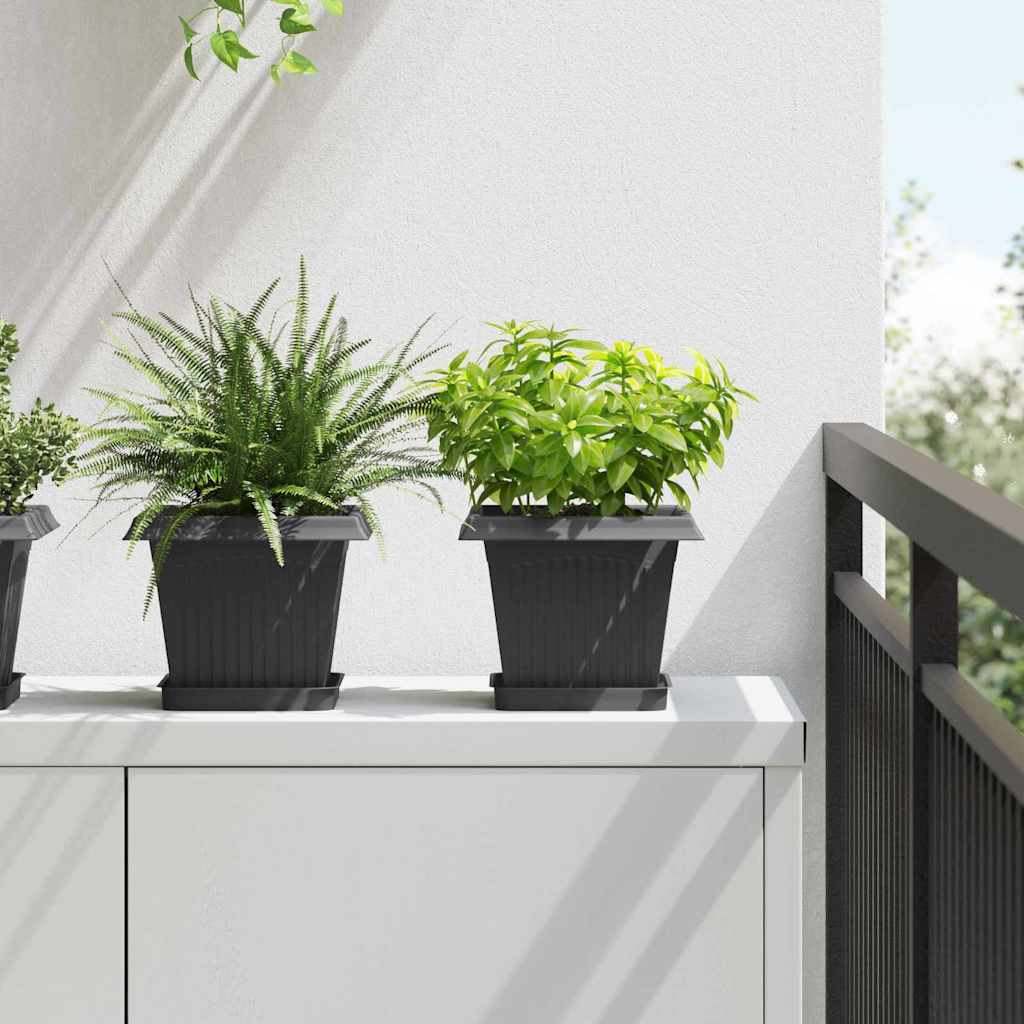 Kvadratna posuda za cvijeće 6 pcs Crna 15 x 15 x 2 cm Plastika