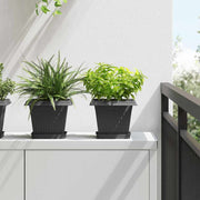 Kvadratna posuda za cvijeće 6 pcs Crna 15 x 15 x 2 cm Plastika